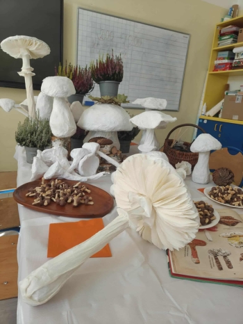 a341da73-dbe1-4a47-bba7-9b68adfbac4b