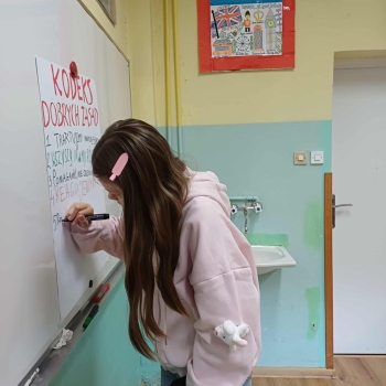 2f7f2550-3a6a-444c-9f43-c26e210941fa