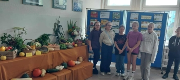 5ed83a2a-a764-4147-87a9-a35eb0e2ee6d