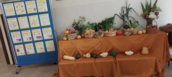 6c5aa839-f6ef-45f1-a8ef-fd5ca10d978c