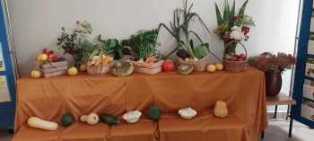 6f5ea627-c626-430f-b6b7-7b2977ef8e14