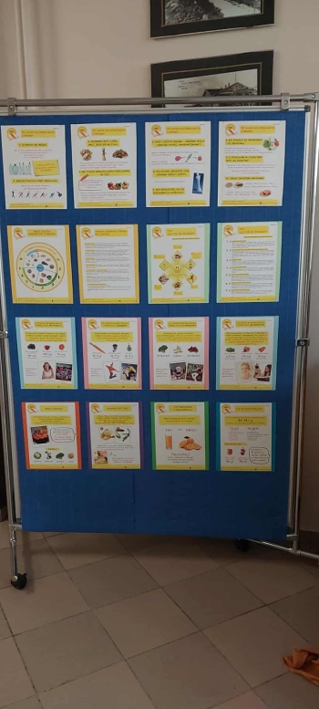 496dd1a9-2673-42a7-8a62-d650322eff91