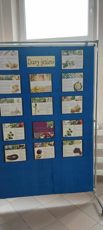 920f0f47-4a1f-4c68-be64-0a8f55d3352d