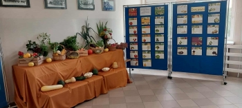 6554bb2f-fd21-4197-8b39-a1379e8816c8