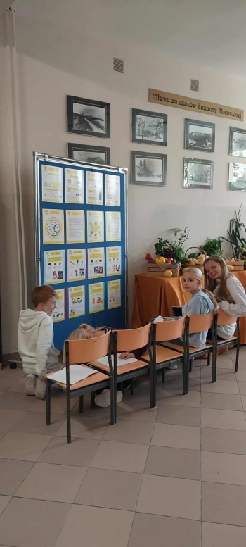 b8e4e695-15b3-47a8-ba7f-3f186aed7598