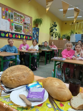 38cec53e-ee48-4981-838a-004a21f8d0cd