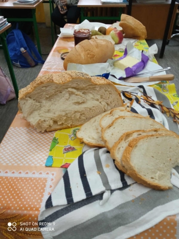 66a7b058-b9d1-45a0-8f4e-76cc87cde916