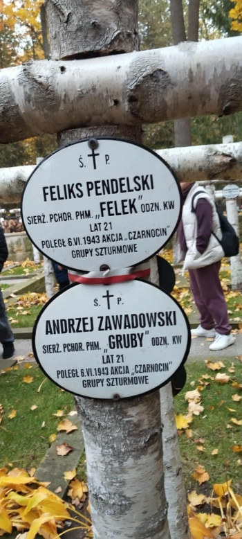 75a13a0f-6566-4037-8d51-7cf9d6298e5e