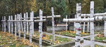 658bd23d-4d6e-457c-b517-23afbe733461