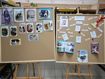 37a7d6d9-4d6f-4b0b-a6e6-be64c0ba1336