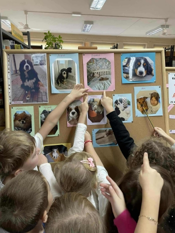 a1835d22-2e7d-4d04-a415-f995ae361d37