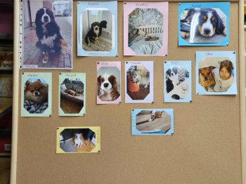 ed6ae2b4-d468-4ada-b15d-9deff5a3a84b