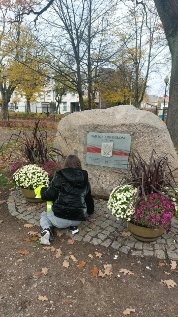 7347b05a-7102-45eb-b945-bf95cf2a3dc0