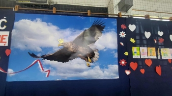 16c34985-a15d-4dfb-b2e8-9495ae5aa33b