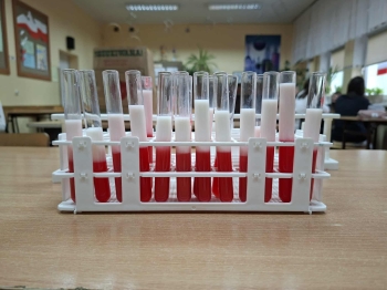 447ed48d-c8ff-4c6f-b14b-bc0f4441adcd