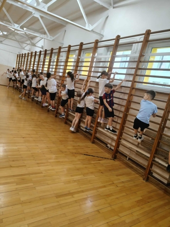 3c9a3d90-d0dc-4394-be93-7009c605235a