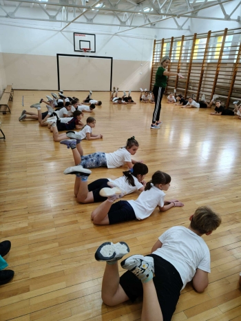 4b02e779-4b32-4bcd-bb3a-46718f83c02c