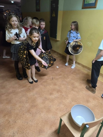 4c36299d-1cf0-4bc5-84b6-8d220a457e35