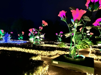 718f8440-92b8-4db7-a4f3-e5c43434f273