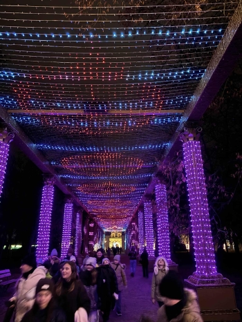 49418fd2-0ee8-4945-a3b2-8bb9e8f8267b