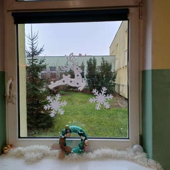 4568d2a8-244e-488f-a235-cec49a574c84