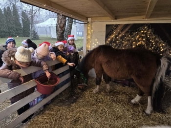 9268420a-275c-406c-b70d-509e5048d3d3