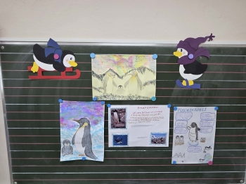 5d2b7b26-42ce-46be-8029-8ea914489a2a