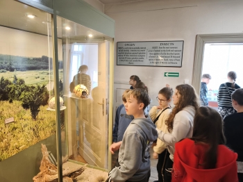 1021b04e-261b-4dd0-b7ab-d2fefa69fed2