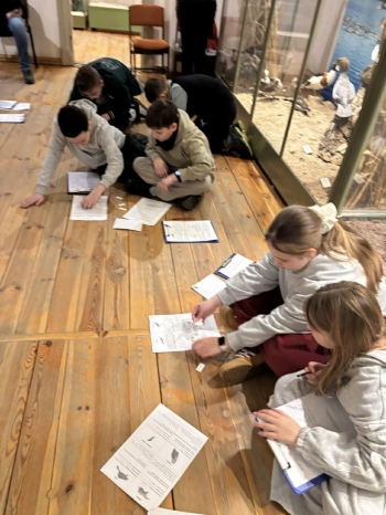 3929f485-443f-4ebc-ab3c-63ef89f3715d