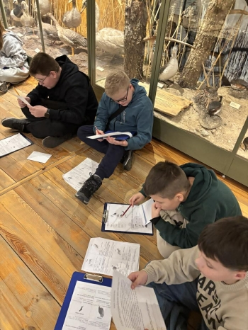 0379182f-1c90-469e-a24d-35598ffc015d