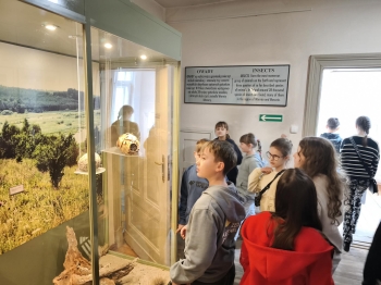 d225dc66-91e3-4370-9084-7c761be437ca