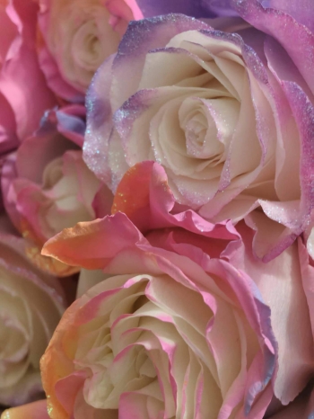 b7973bfb-d5bb-4137-a45e-79dd68ec8a9c