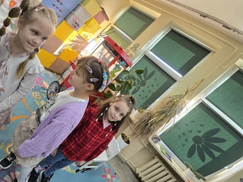 7dcbf505-c6c4-484b-bb00-8cd290fba66f