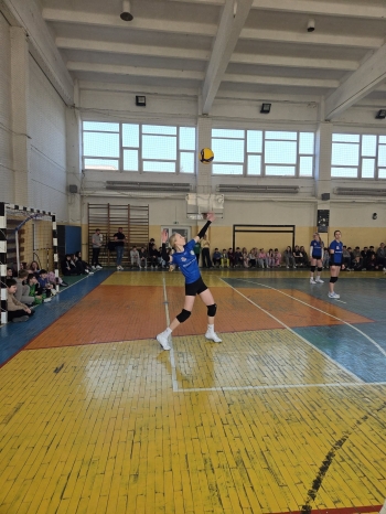 2af3262e-f33a-43a4-b87c-3bff5a9af8e5