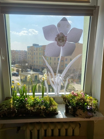 5dd82b27-493f-43c0-abdd-1d922d0eeeca