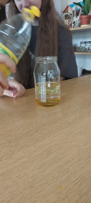 703e47eb-1d85-4302-a18c-2f4259423013