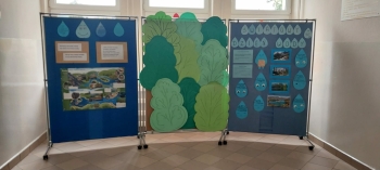 b8d7fa49-9cc4-495d-ad1c-c32b5824048d