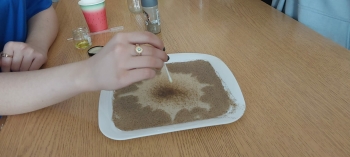 bf486514-6e80-4f3c-90cf-f6b23dcdbecb