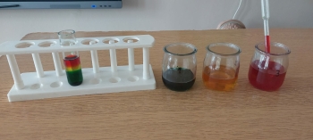 e540c430-f6e8-4511-a244-77d9bf9b9876