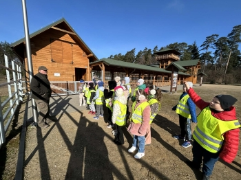 2fd15e9d-2630-4c31-9130-6d63d68dbf44