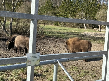 7b206489-1638-440e-8df7-d67b190302d6