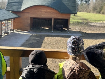 7ec2551c-7fb1-4a62-b2c0-b3dcc952ebe3