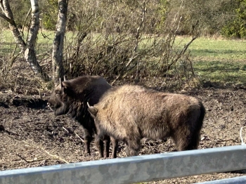 3306990e-97db-41f0-9a37-1a96fa86ffaf