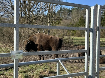 c63b820a-1cbc-4f01-9fba-0f5510b58f53