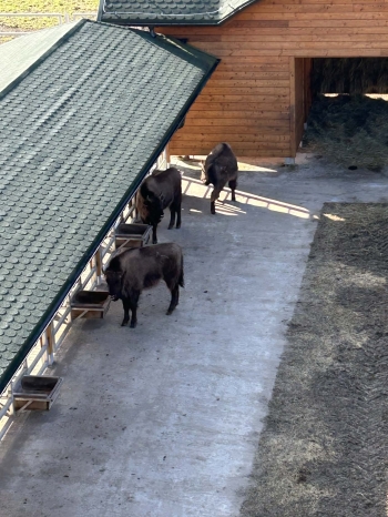 d5f01f9b-70c0-44dc-957b-4dec810493c1