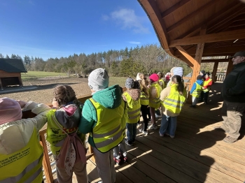 d49471c6-96ae-463f-8076-634dc17f7a1a