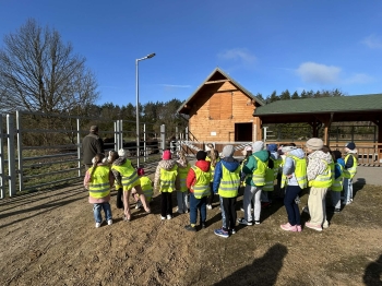 d913876a-def3-4fdd-bcc2-c29458ae7dbe