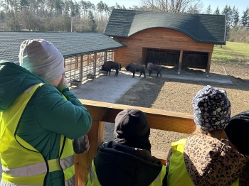 fb30c454-426e-4dea-9b19-1c9b78c580c9