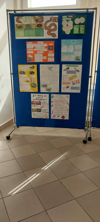 15092caa-0ac7-4e87-af1d-e14f58078c99