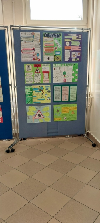 c1920850-bb9e-405c-895c-a6d15fddbcbf